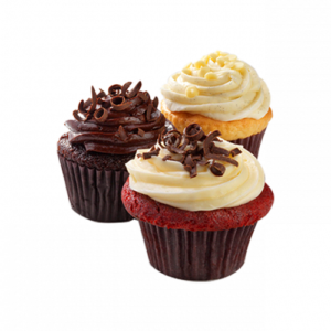 Chocolate Muffin